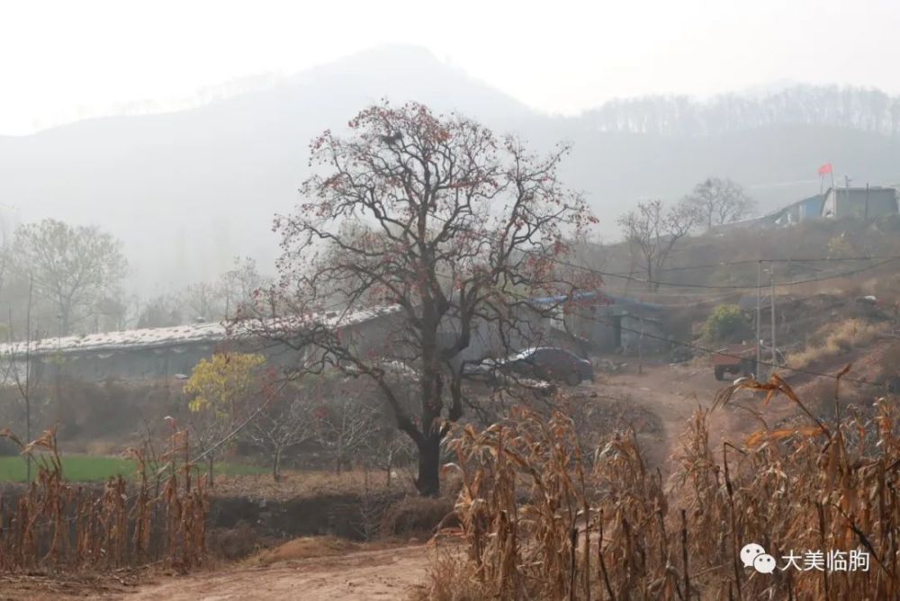 探路,从三岔穿越到临朐寺头双泉村