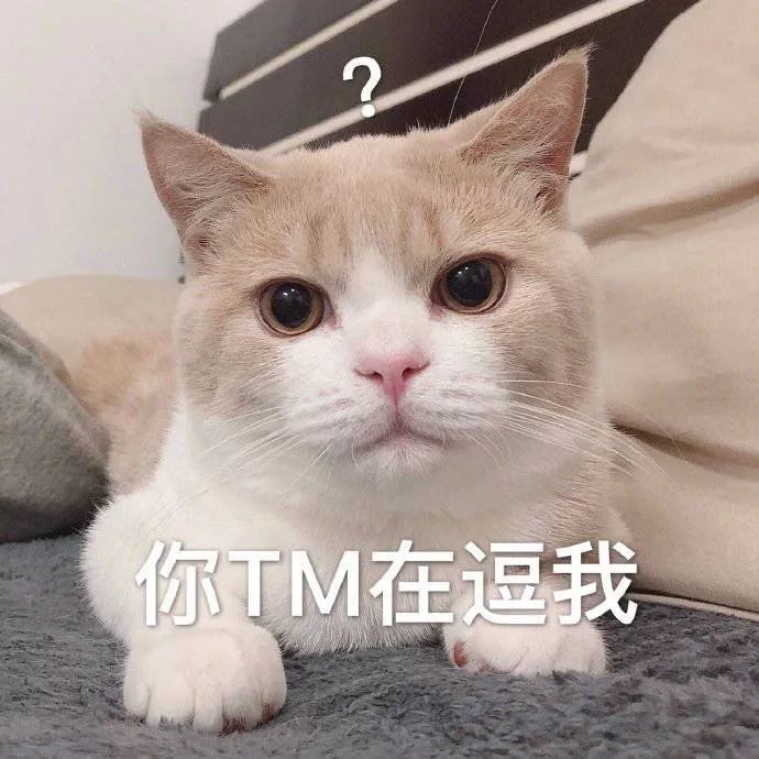 表情包:一脸懵逼