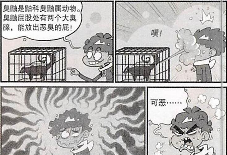 爆笑阿衰:不自量力的臭鼬挑战阿衰,"屁神出马所向披靡