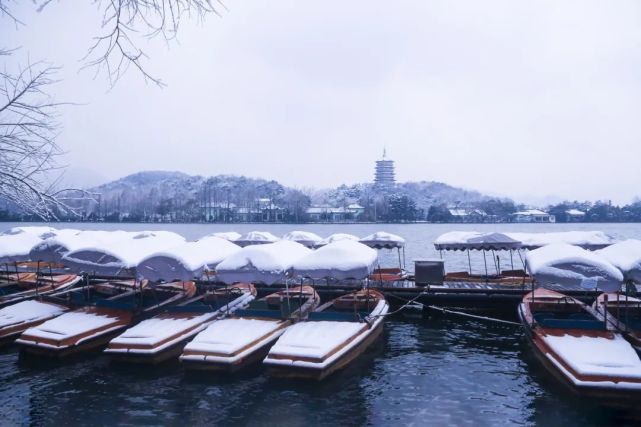 一下雪,杭州就美成了临安!