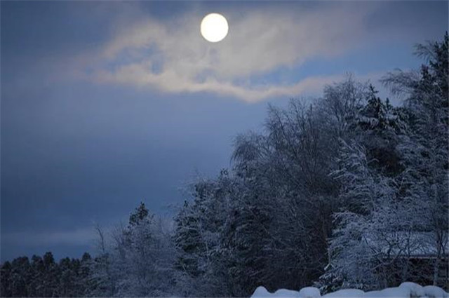 下元节的月亮与月光诗五首,雪月交光夜,瑶台十二层