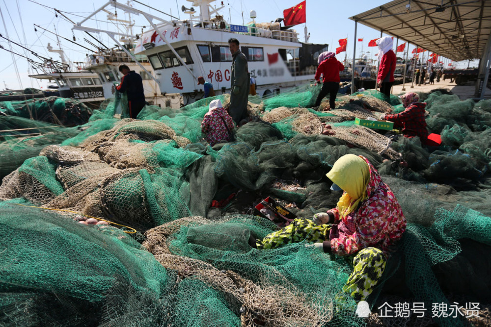 没有看到出海归来鱼虾满船的丰收场面,看到的是在岸边补渔网的场景