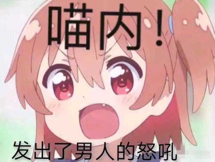 可爱的动漫表情包咱们二次元聊天就喜欢用这个