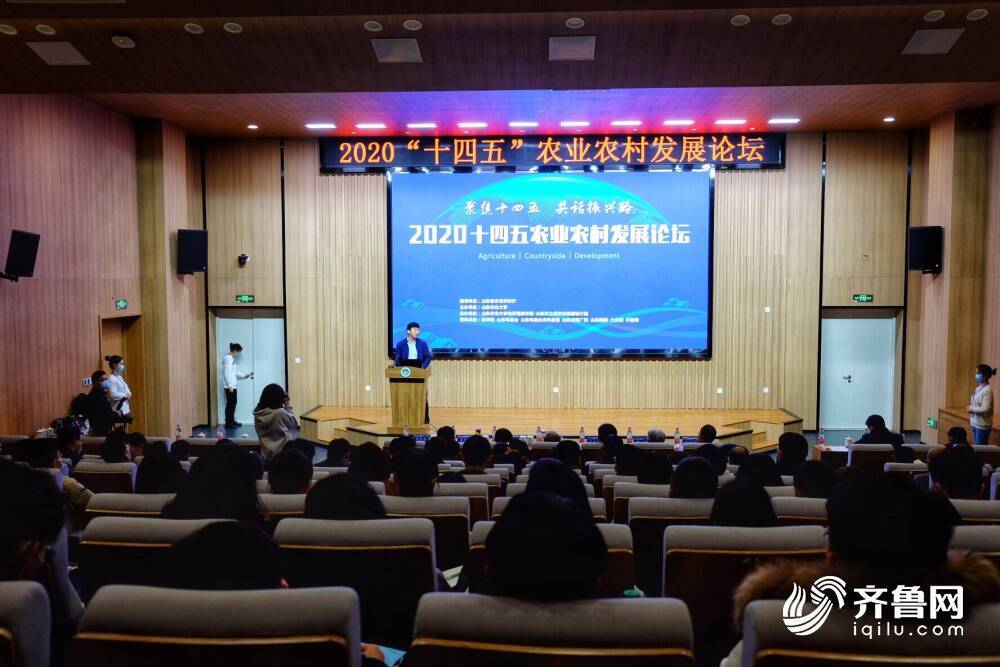 山东农业经济总量排名2020_山东农业大学