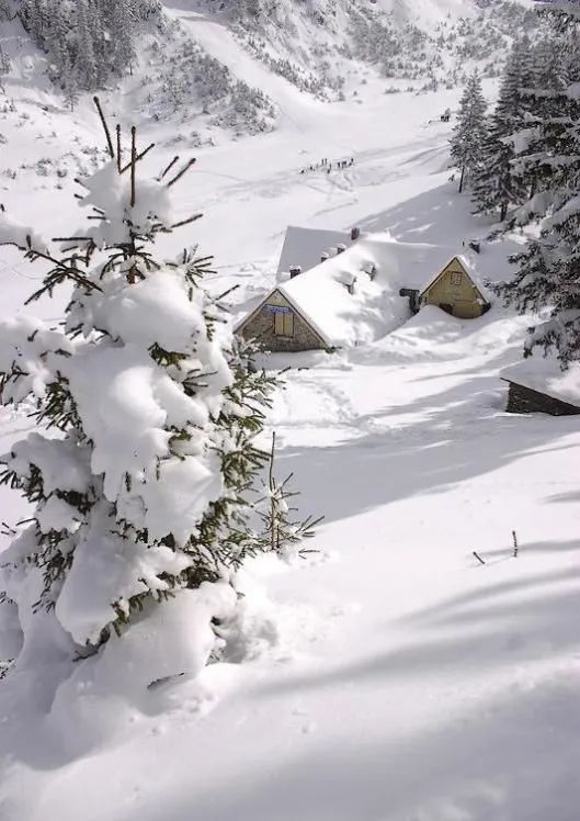 你好11月29日想和你一起看雪也想和雪一起看你