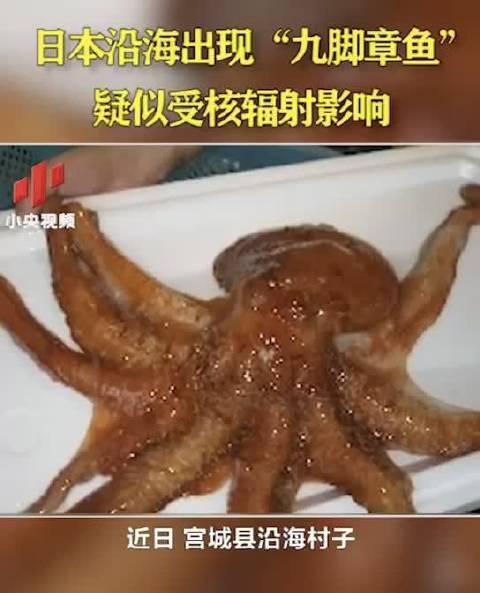 你不知道的事!日本福岛出现变异章鱼,变异海鲜你还敢吃吗?