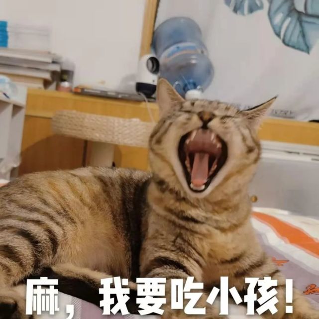 猫咪表情包什么是想吃小孩