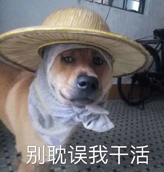 表情包‖有本事上称