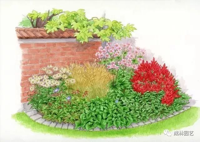 【花园管家】36款花境设计平面图,33款花境实景图欣赏