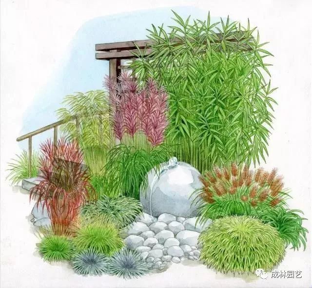 【花园管家】36款花境设计平面图,33款花境实景图欣赏