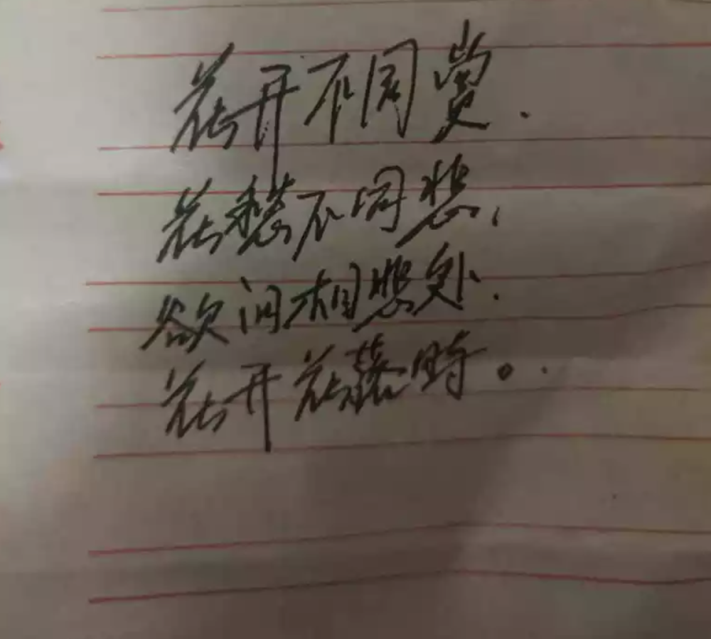 忆母情简谱_拾忆简谱(2)