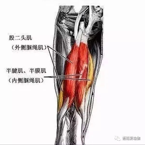 10个拉伸腿筋的瑜伽动作瘦腿的同时还提高灵活性