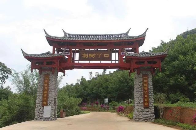 乡村旅游看临沧丨就地过年 6条精品乡村旅游线路带您漫游临沧