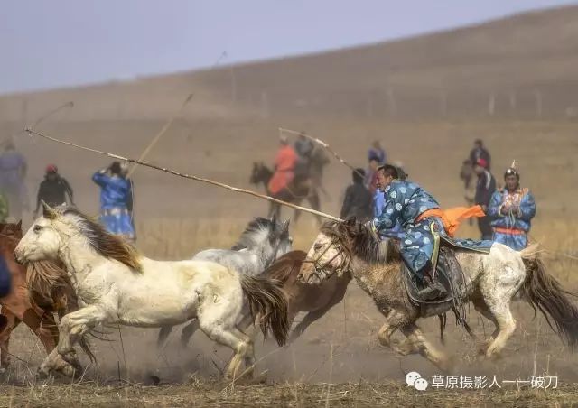 威武雄壮!驰骋在阿鲁科尔沁草原上的套马汉子