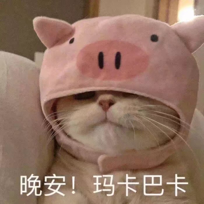今日份可爱表情包晚安玛卡巴卡