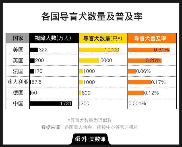 委屈的导盲犬中国盲人1731万人导盲犬不足200只