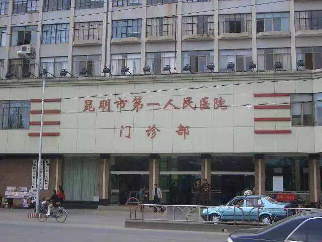 2019丽江gdp总值_丽江古城图片(3)