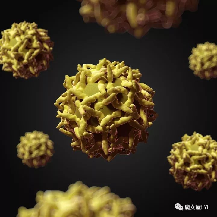 病毒的形态各异,从简单的螺旋形和正二十面体