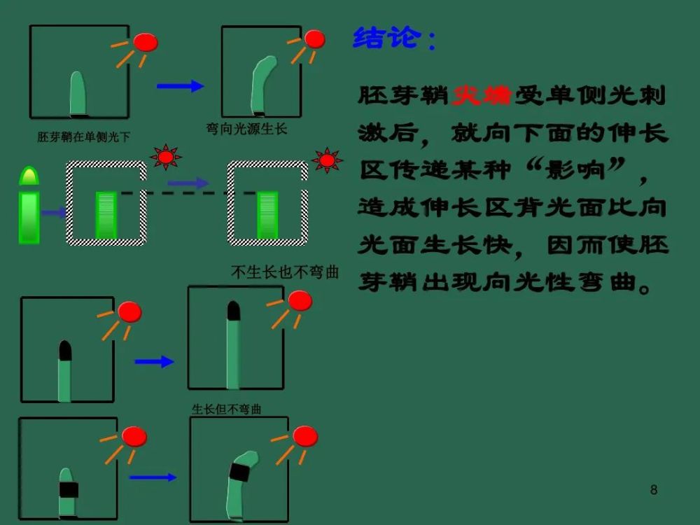 高中生物植物生长素微课精讲知识点课件教案习题