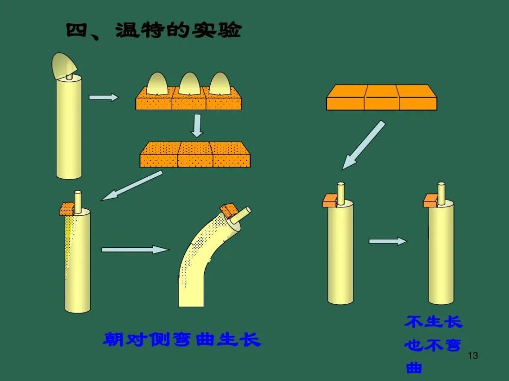 高中生物植物生长素微课精讲知识点课件教案习题