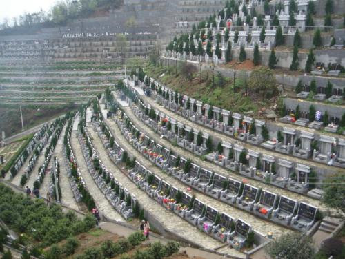 世界上人口上万的国家(3)