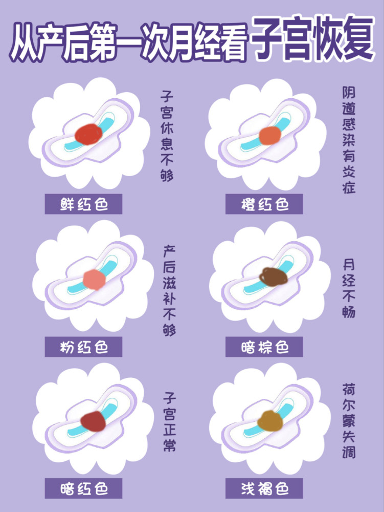 产后子宫恢复情况怎么看区分恶露和月经