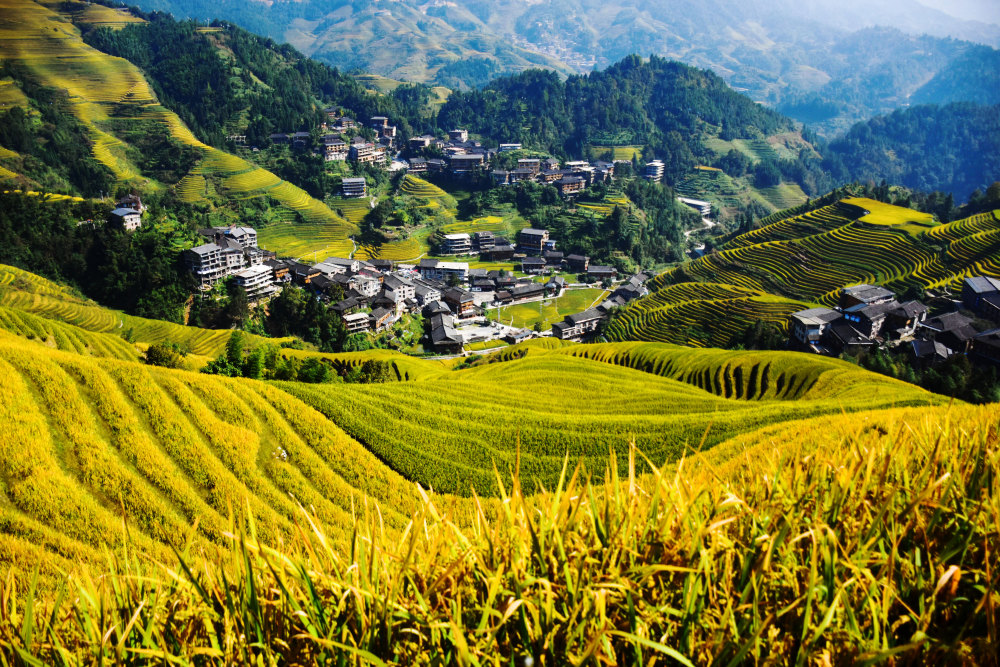 龙脊梯田游玩攻略和避坑指南,秋黄冬雪春种夏绿四季美景你爱哪个