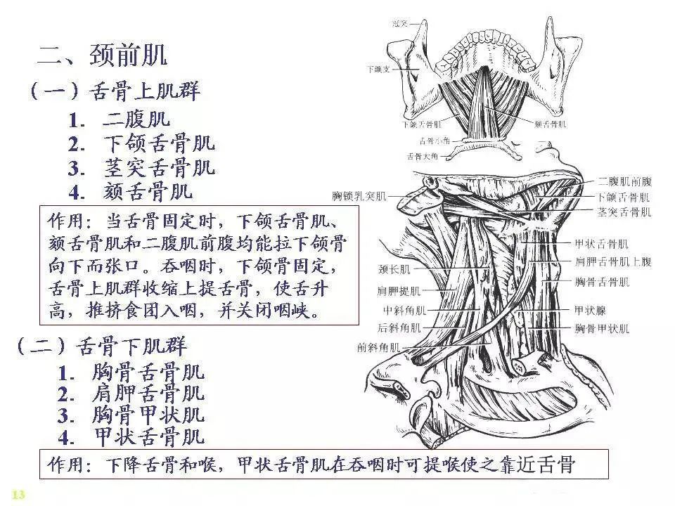简笔画 手绘 线稿 960_720