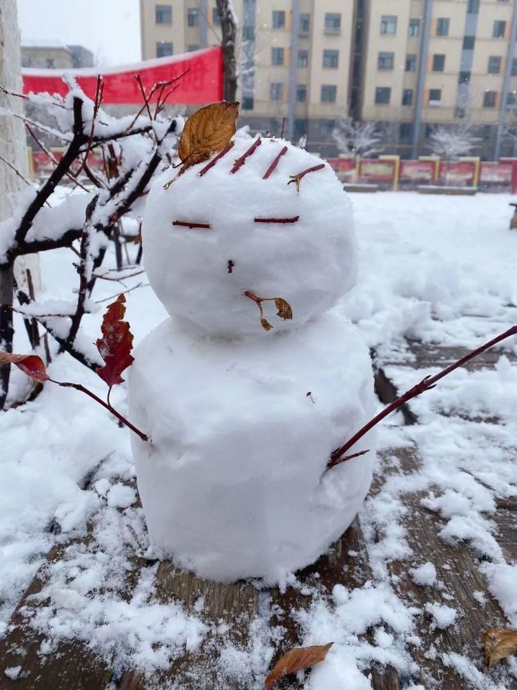 为大家堆雪人的技术点赞!