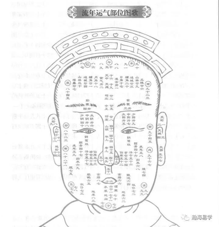 面相流年部位运气图