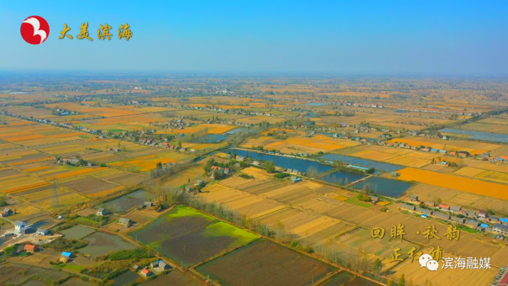 盐龙街道,张庄街道 4,盐城经济技术开发区:步凤镇 5,射阳县:洋马镇 6
