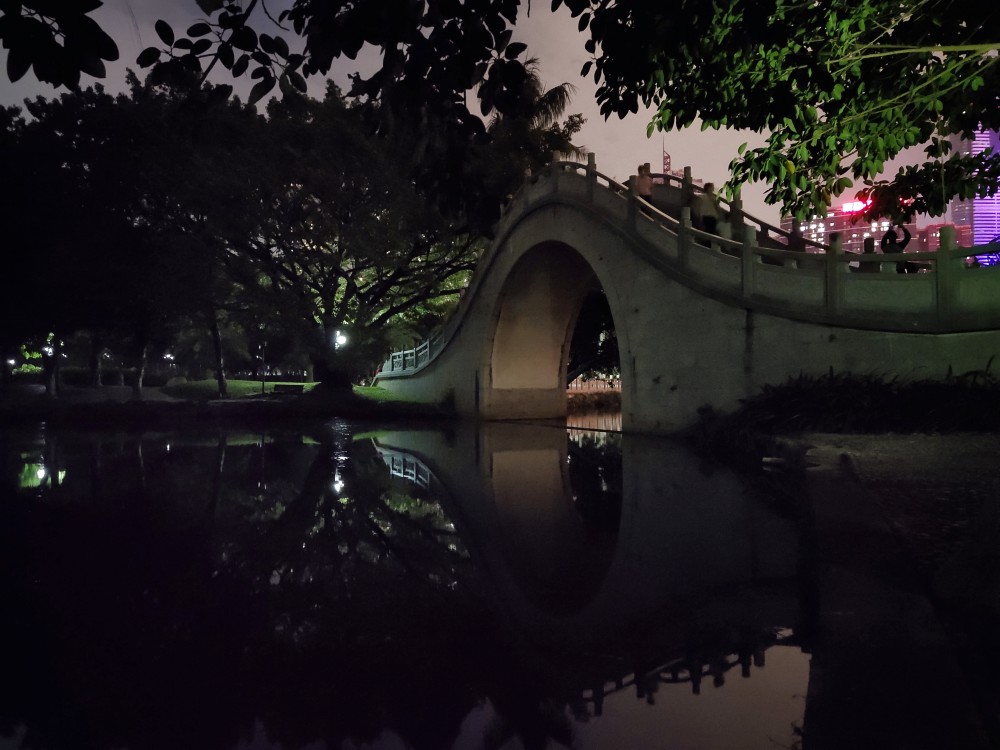 美丽而安静的福田荔枝公园夜景