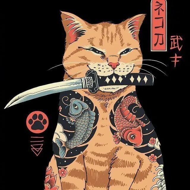 武士猫猫系列好酷!有着天然的主子风范!