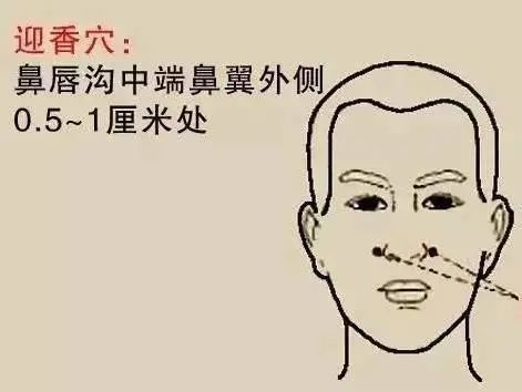 鼻翼穴 腾讯网