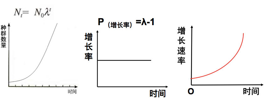 增长速率:单位时间内新增加的个体数(即种群数量增长曲线的斜率)增长