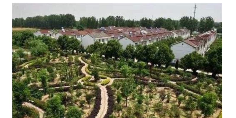 肥东县城人口_肥东县城地图