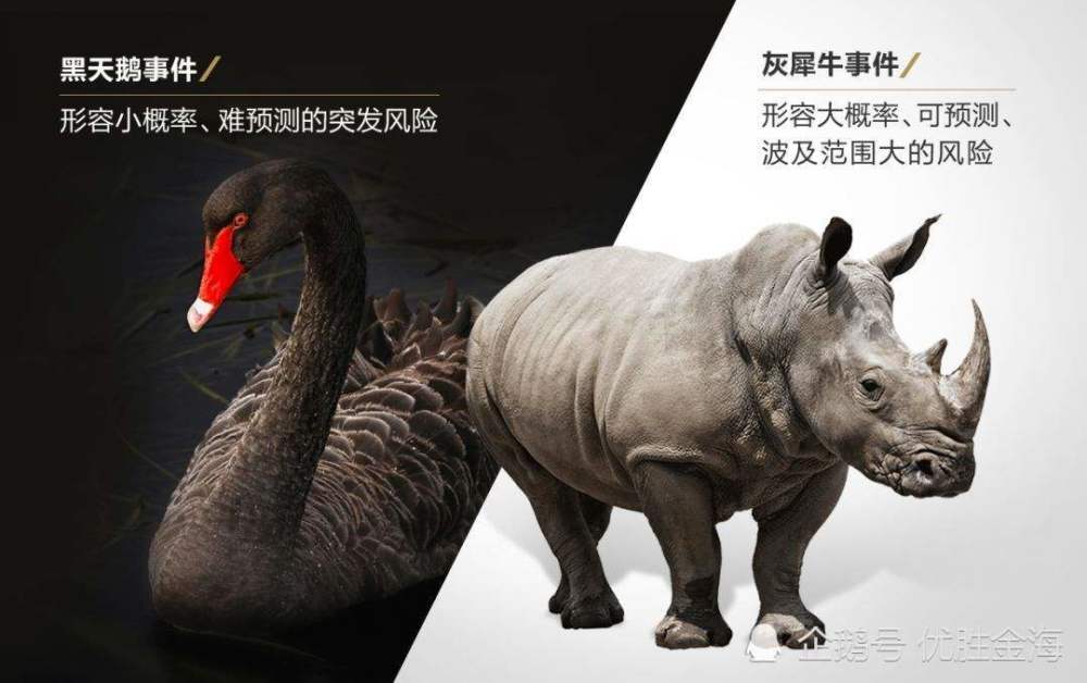 2020收官之月,投资者要注意哪些黑天鹅事件?