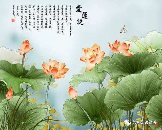 周敦颐的《爱莲说》广为人知,备受赞誉,故称其学说为"儒学的莲花一朵"