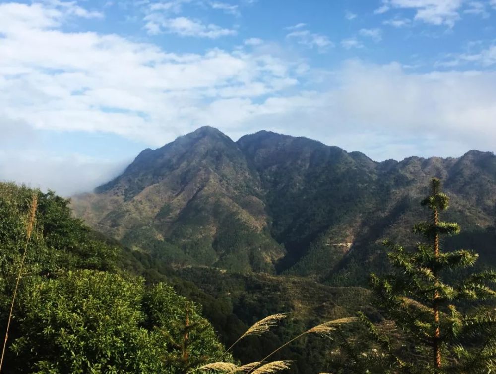 平和祖山---大坪双尖山是"两江三溪"之源头 (九龙江支流花山溪,韩江