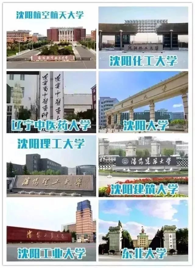 沈阳市人口普查_人口普查