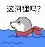 谐音梗表情包这河里吗