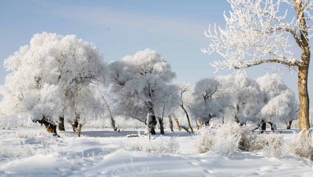 黑水歕雪,这是才女笔下的北国雪景.