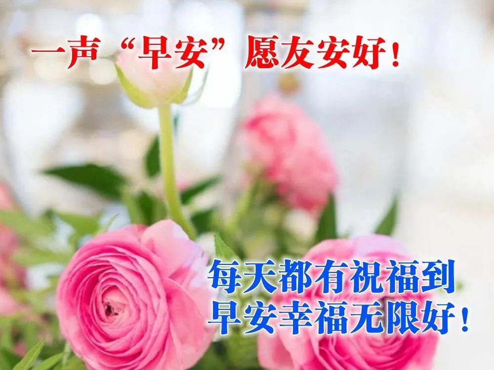 11月27日清晨早上好问候祝福动态表情图片早安问候语及暖心的话