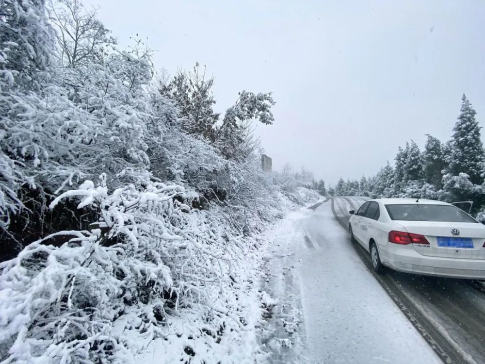 刚拍的济源下雪照片,美到爆了