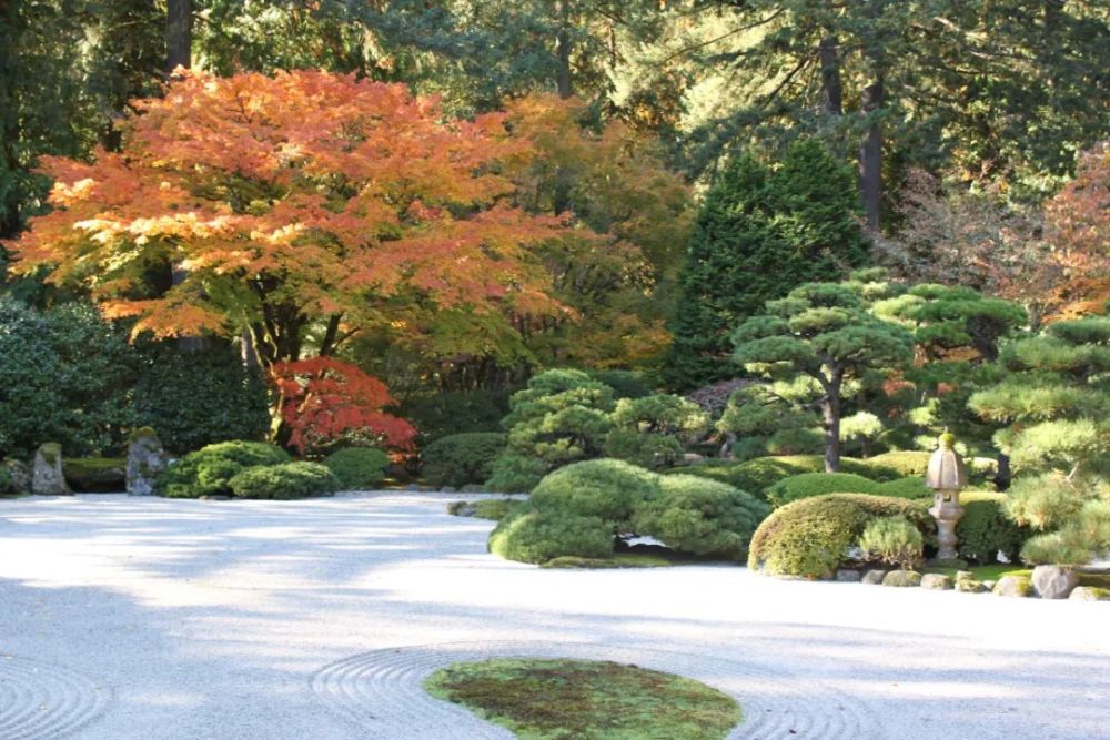 探秘波特兰日本花园|分享