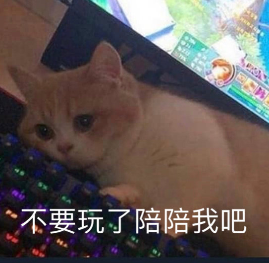 沙雕表情包l高人竟在我身边
