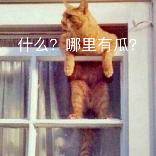 沙雕表情包l高人竟在我身边