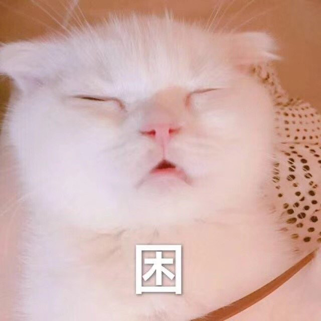 可爱动物表情包眼不见心不烦