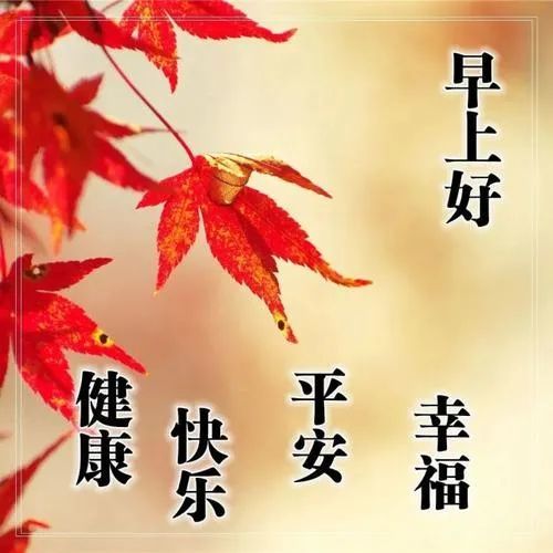 十一月再见,十二月你好!12月最新祝福语大全