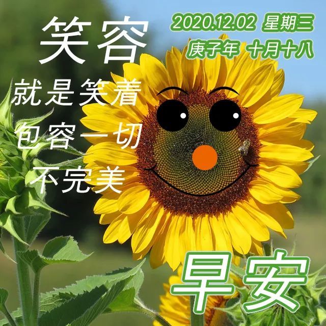 早上好图片大全2020 早上好的句子